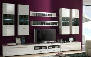 Características de la elección de gabinetes modulares en la sala de estar y sus modelos.