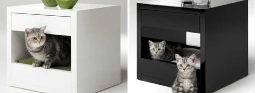 Opciones para muebles para gatos, consejos útiles para elegir