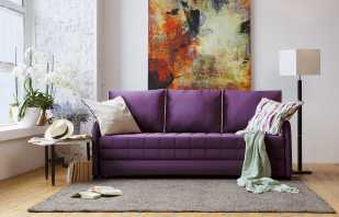 Reasons for the popularity of the Eurosof sofa, product modifications