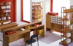 Descripción general del mobiliario escolar, características importantes y reglas de selección