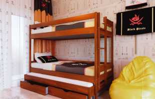 Criteria for choosing bunk beds, their functional features