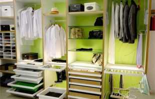 Types of filling cabinets and walk-in closets, the main elements