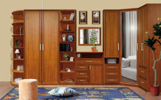 Características de los muebles de esquina en la sala de estar, opciones existentes