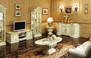 Características de la elección de los muebles en la sala de estar realizados en el estilo clásico.