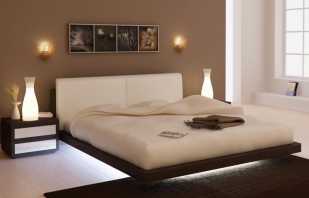 Modelos existentes de camas retroiluminadas, tipos y ubicaciones de iluminación.
