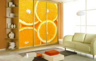 Features of sliding wardrobes with photo printing, model overview