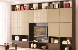 Opciones para fachadas de muebles para armarios, reglas de selección