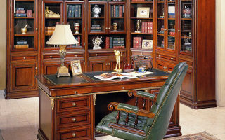 Una descripción general de los muebles del gabinete, criterios de selección básicos, matices importantes
