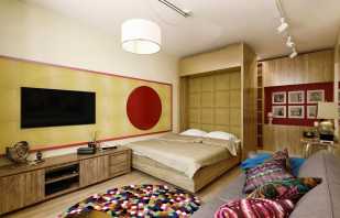 Las variedades de camas son transformadoras en un apartamento pequeño y los matices del diseño.