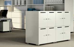 Overview of models of office cabinets, selection tips