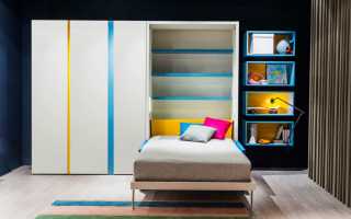 La elección de una cama de armario para niños, teniendo en cuenta la edad del niño, el diseño de la habitación.