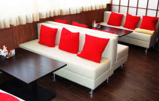 Revisión de muebles tapizados en restaurantes, cafeterías y bares, reglas de selección.