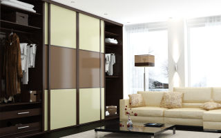 Resumen de armarios empotrados para la sala de estar, opciones existentes