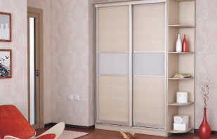 What are sliding wardrobes 2 meters long, an overview of models