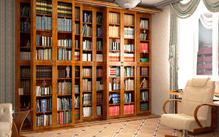 ¿Qué son los gabinetes de la biblioteca, una descripción general de los modelos?