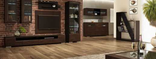 How to choose cabinet furniture in a drawing room, a photo of rooms in a modern style