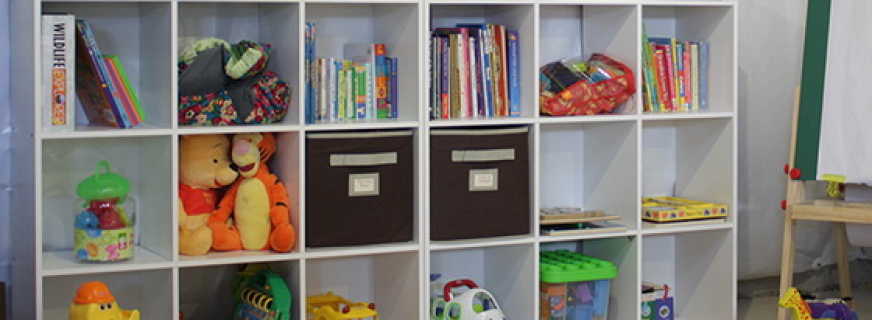 Overview of cabinets for toys for children, selection rules